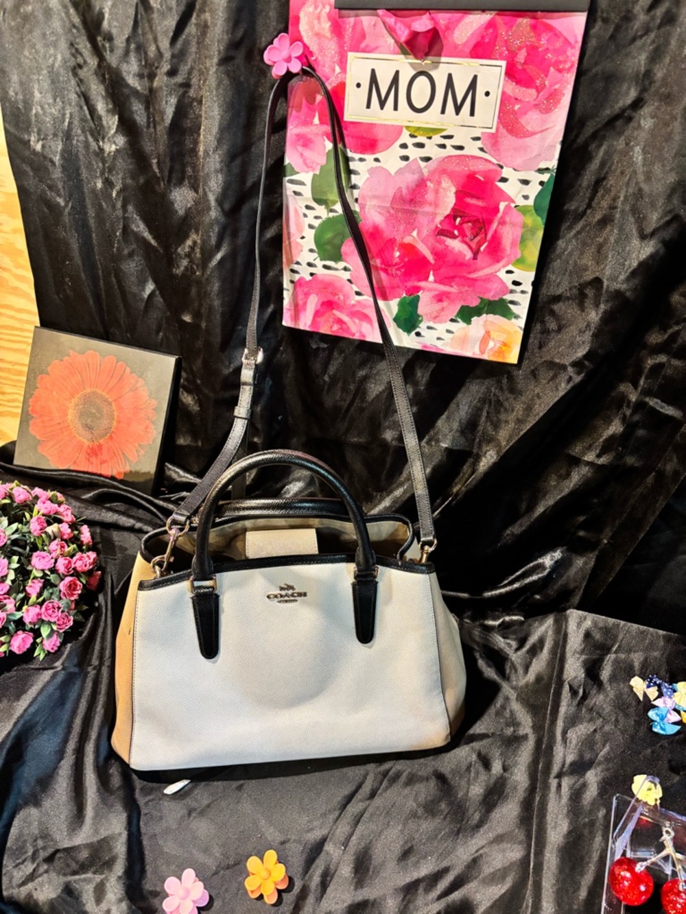 COACH Pebble Leather Satchel Bag in White and Black and